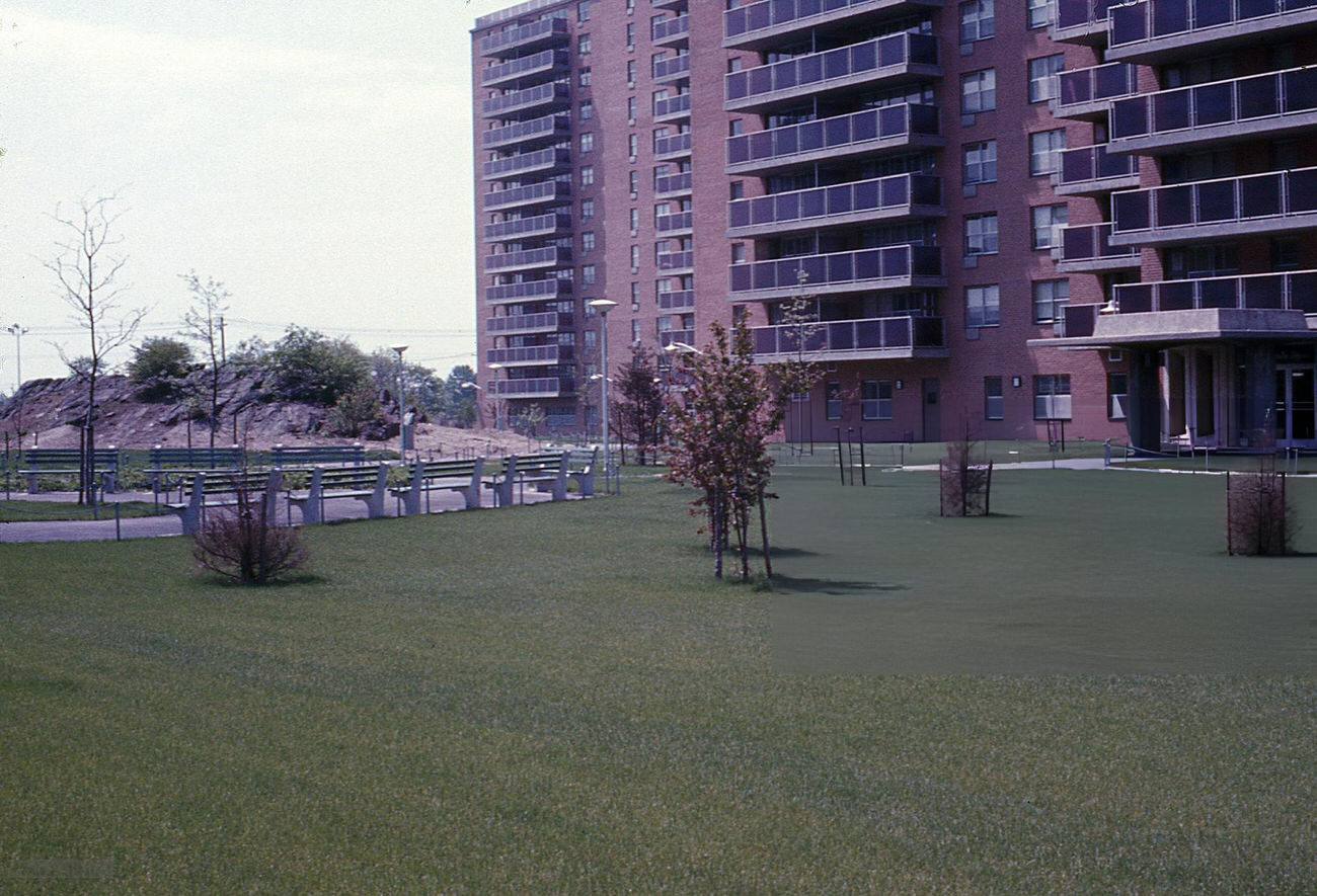 A Lawn With Trees Outside A Housing Project In The Bronx, 1968.
