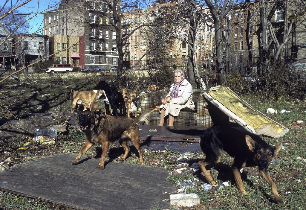 Anna, A Widow From Russia, Feeds Stray Dogs On E. 174Th St. At Daly, Bronx, 1988.