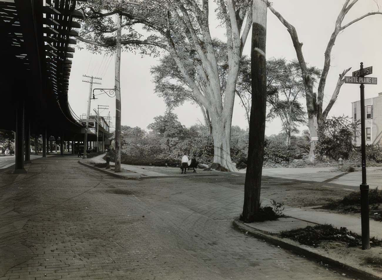 Elevated Railroad Along White Plains Rd. At 237Th St. With Street Signage, Circa 1915.
