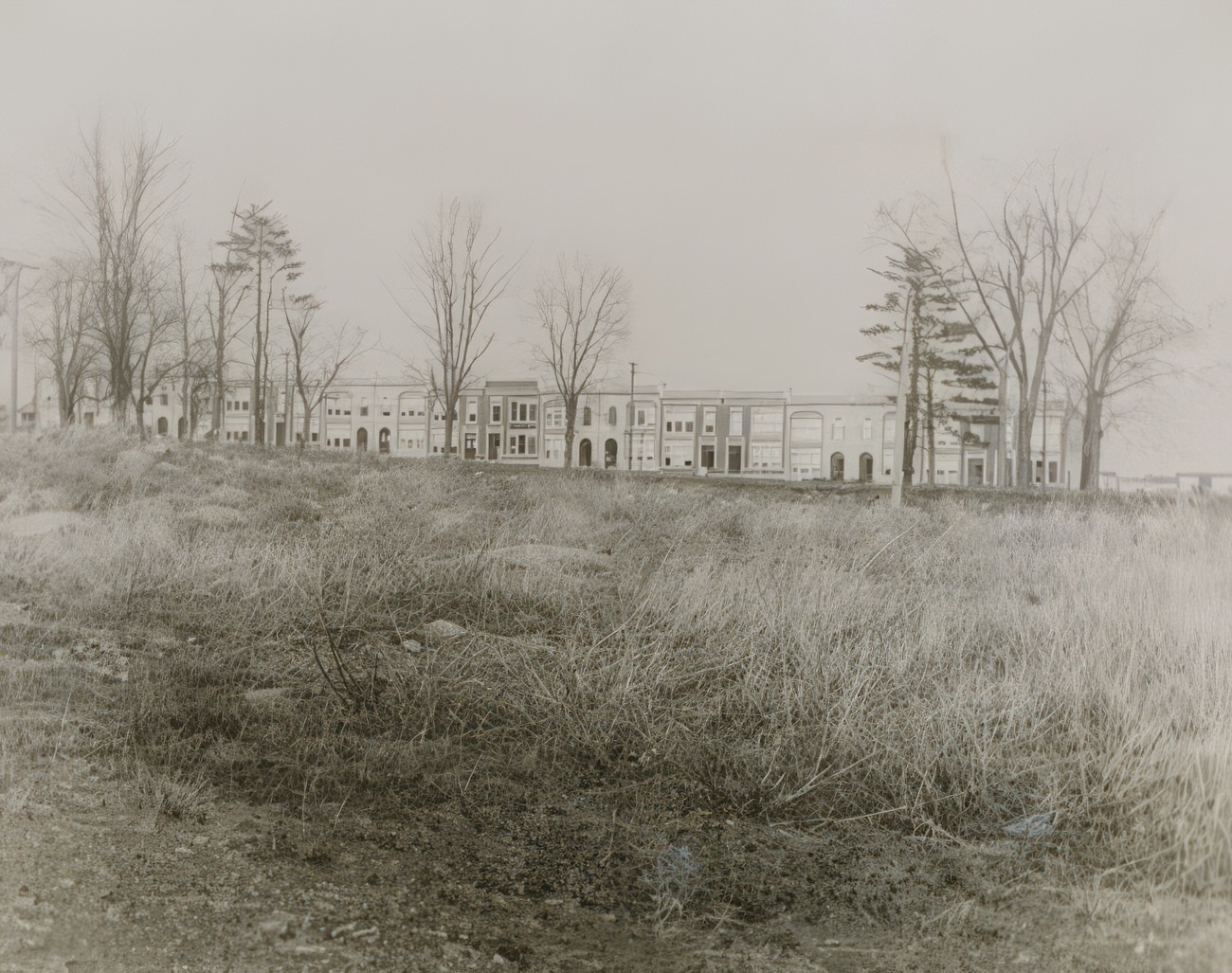 Hunts Point, Coster Street Near Spofford Avenue, Circa 1917.
