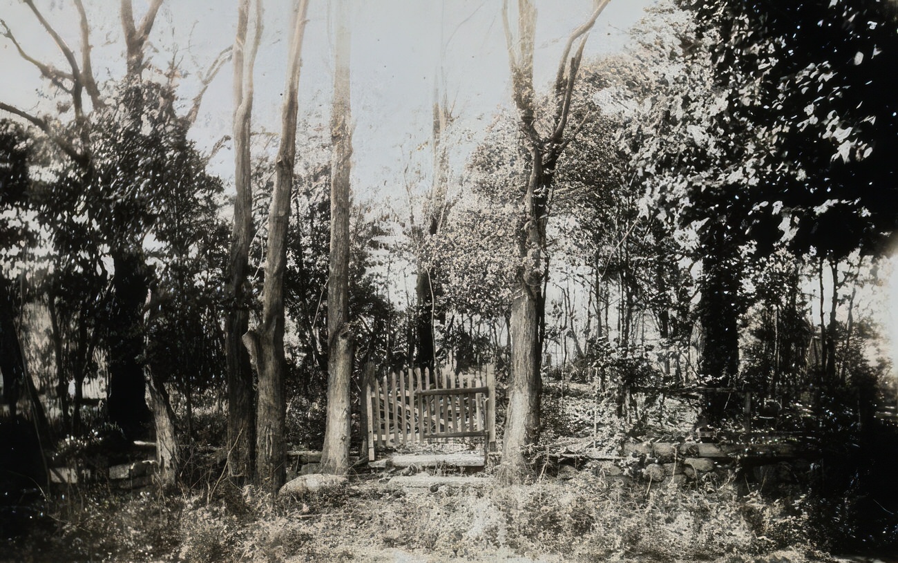 Old Hunts Point Cemetery, Circa 1910.