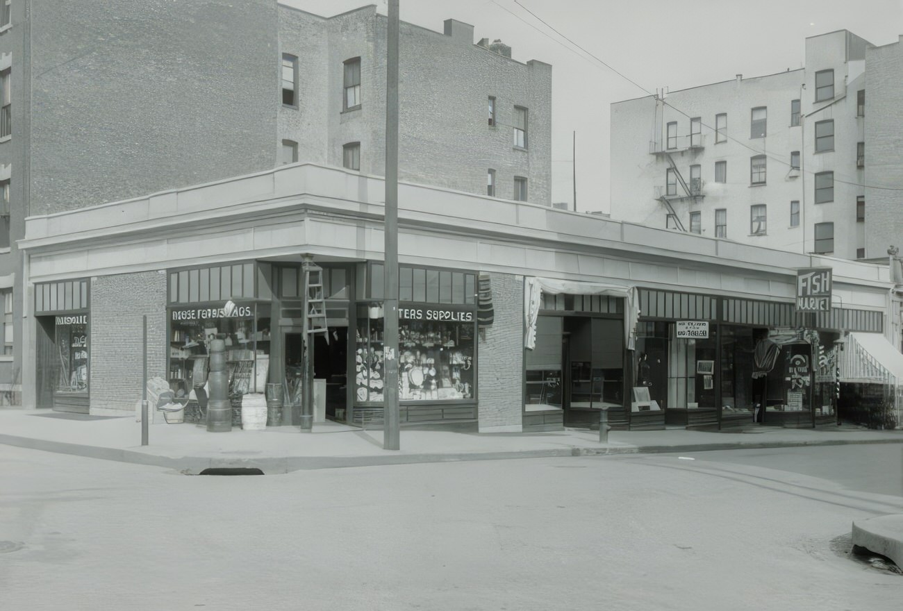 164Th Street And Park Avenue, Taxpayer, Circa 1910.