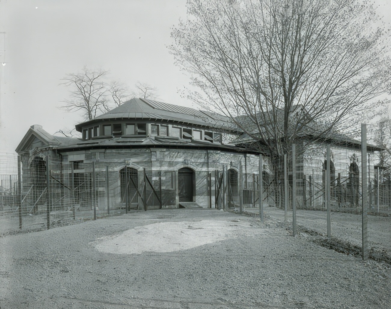 Bronx Zoo, Antelope House, Circa 1915.