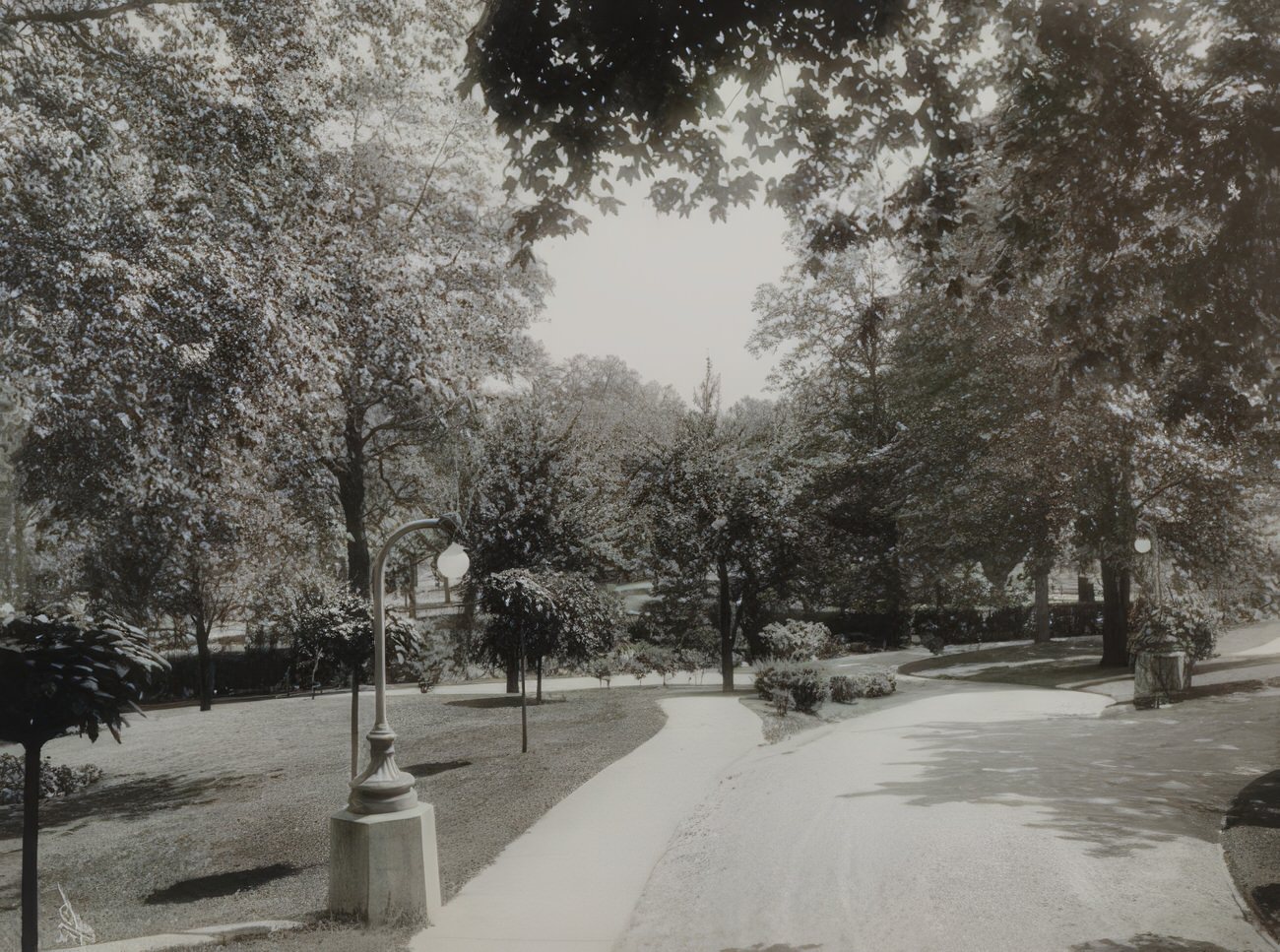 Drive And Path At William Muschenheim'S Estate In Riverdale, N.y., Circa 1911.
