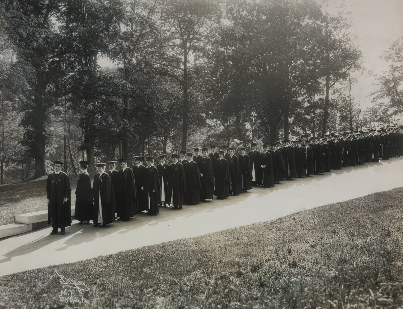 Female Students In Graduation Gowns At Academy Of Mount St. Vincent, Riverdale, 1915.