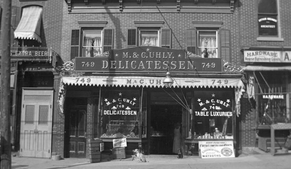 Bronx 1900s