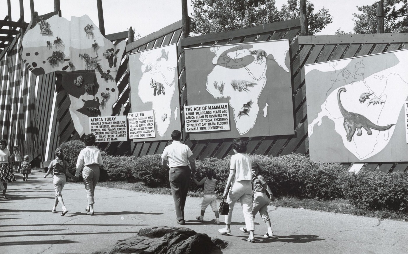 Bronx Zoo, 1960S