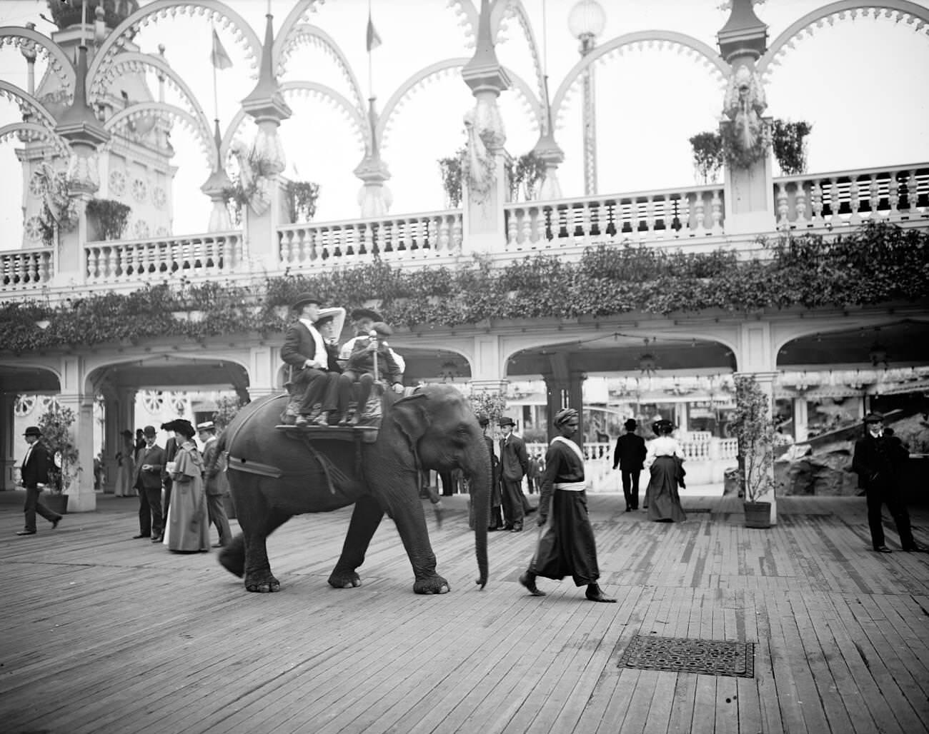 Elephant Ride At Luna Park, Coney Island, Brooklyn, 1905