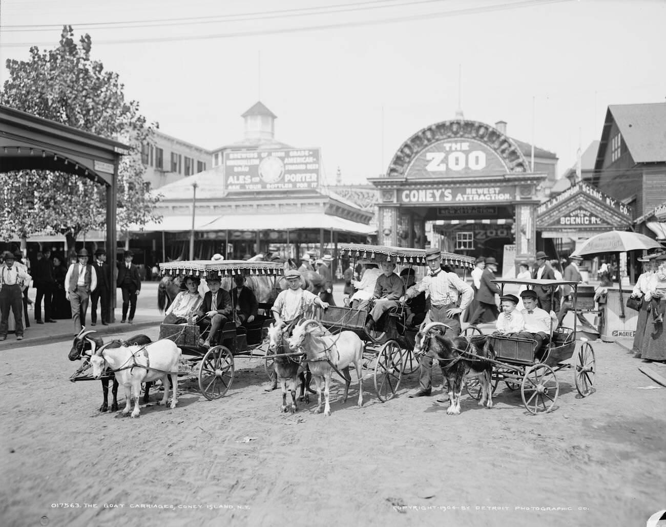 Goat Carriages At Coney Island, Brooklyn, 1904
