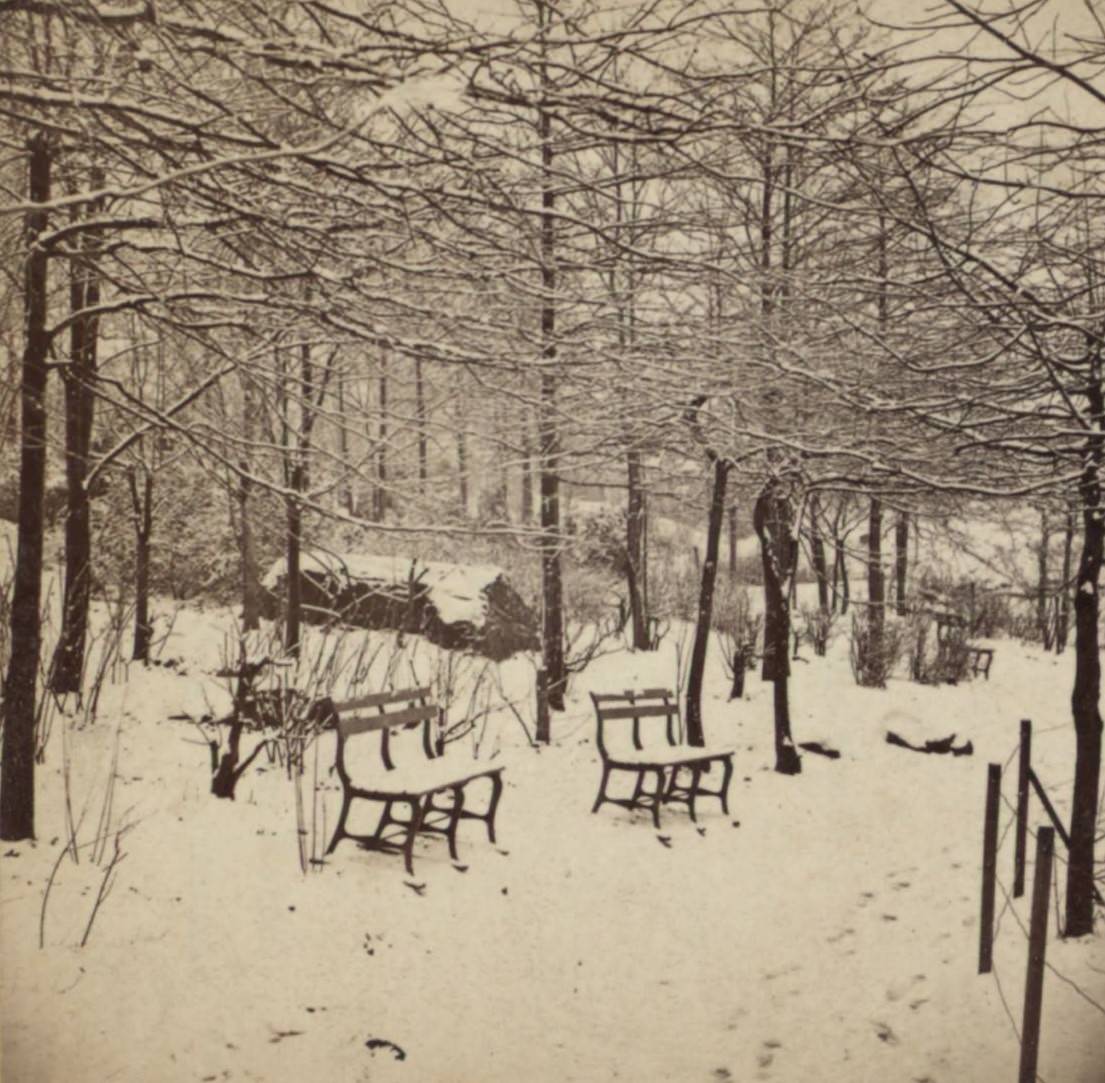 Winter View In Prospect Park, 1850S.