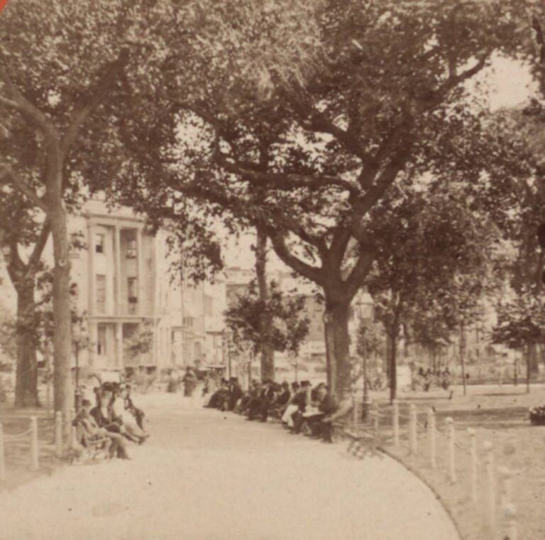 Rare Historic Photos of New York City in the 1850s