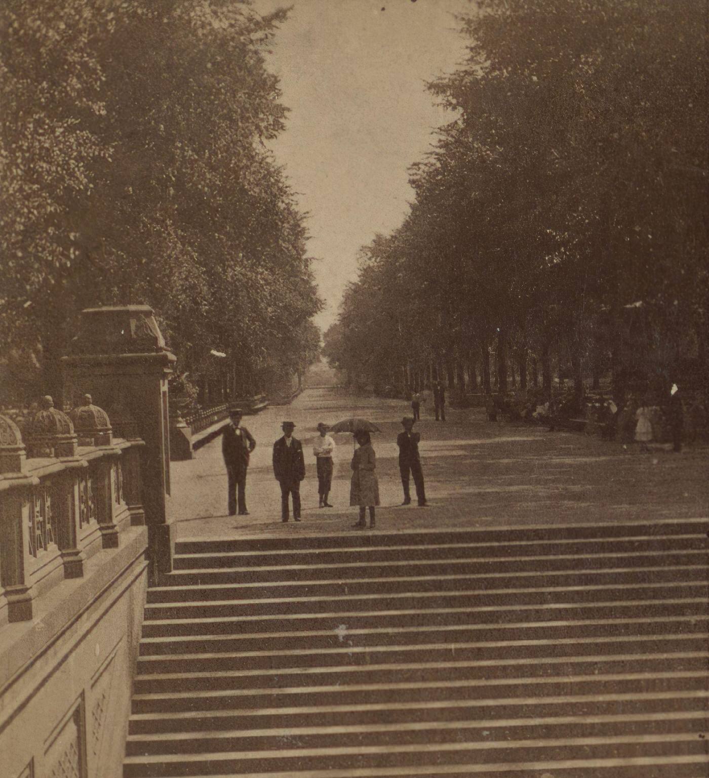 View On The Mall - The Promenade, Central Park, Manhattan, New York City, 1860S