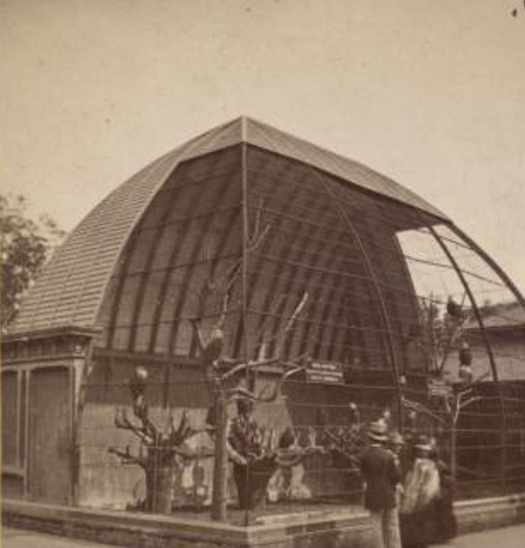 Central Park Scenery, 1860S.