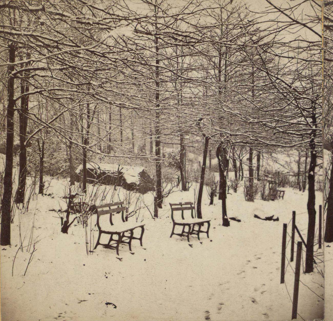 Winter Scenery In Prospect Park, Brooklyn, 1860S