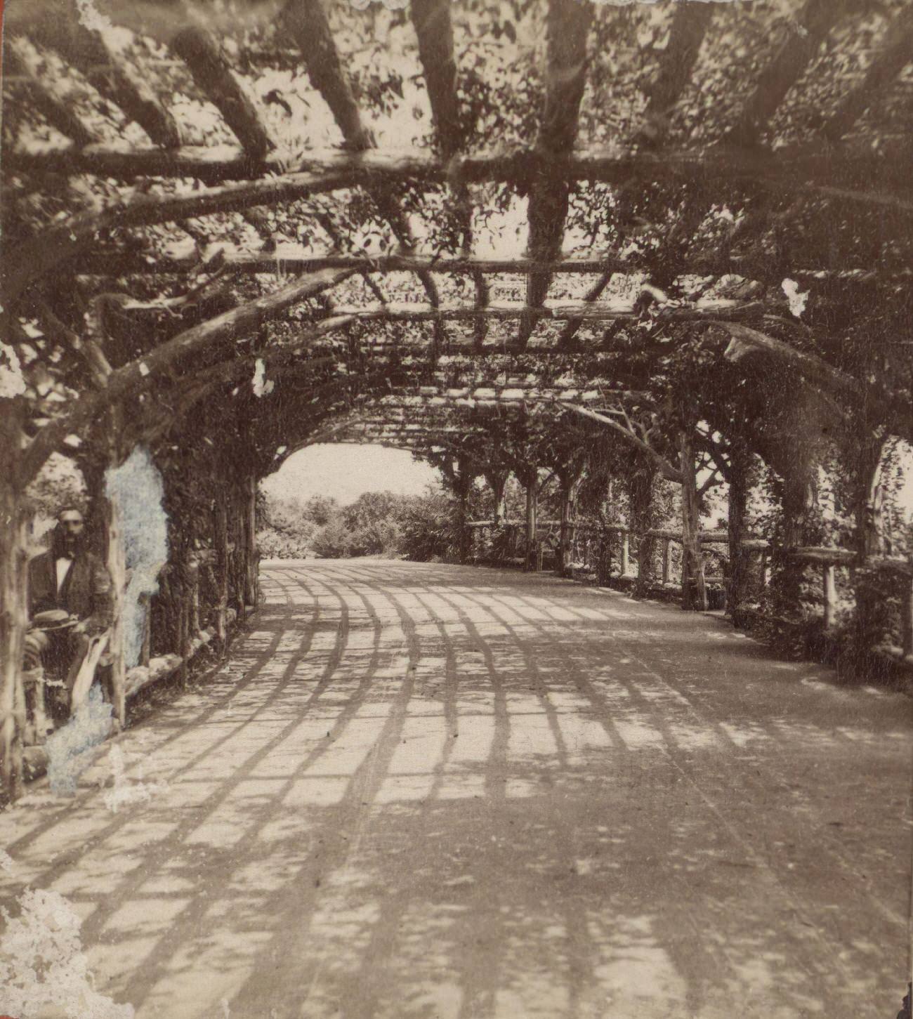 Playground Arbor In Prospect Park, Brooklyn, 1860S