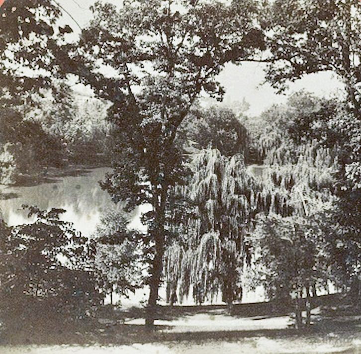 Sylvan Lake In Brooklyn, 1860S