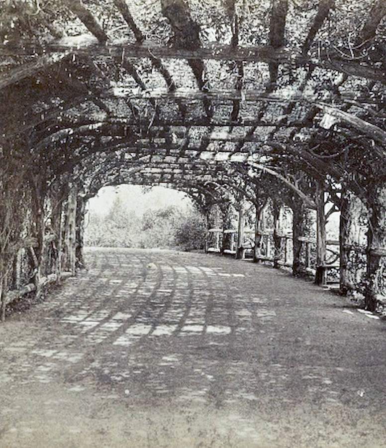 Scenic Views In Prospect Park, Brooklyn, 1860S