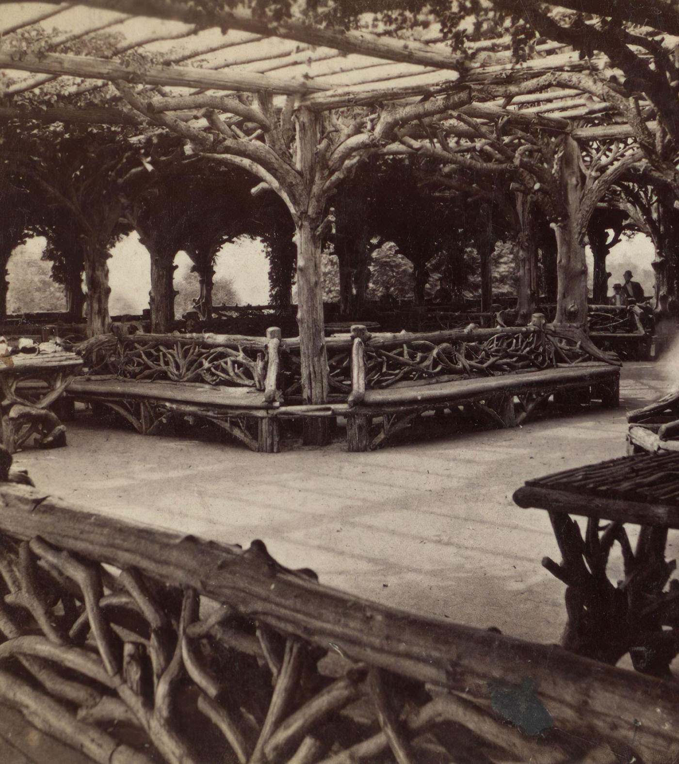 Interior View, Vine Clad Arbor, Central Park, Manhattan, 1870