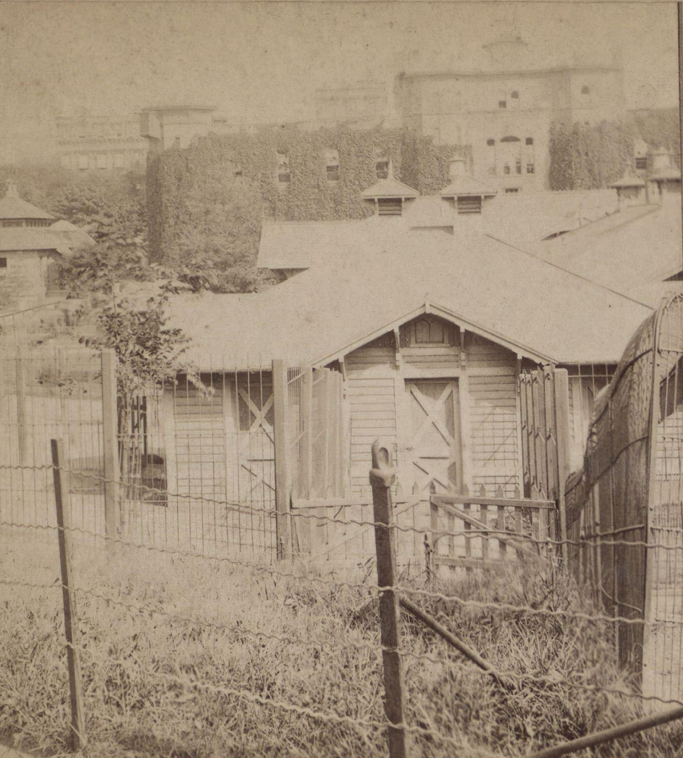 Museum And Menagerie In Central Park, Manhattan, 1870S
