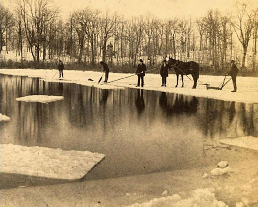 Ice Harvesting At Silver Lake, 1880S.