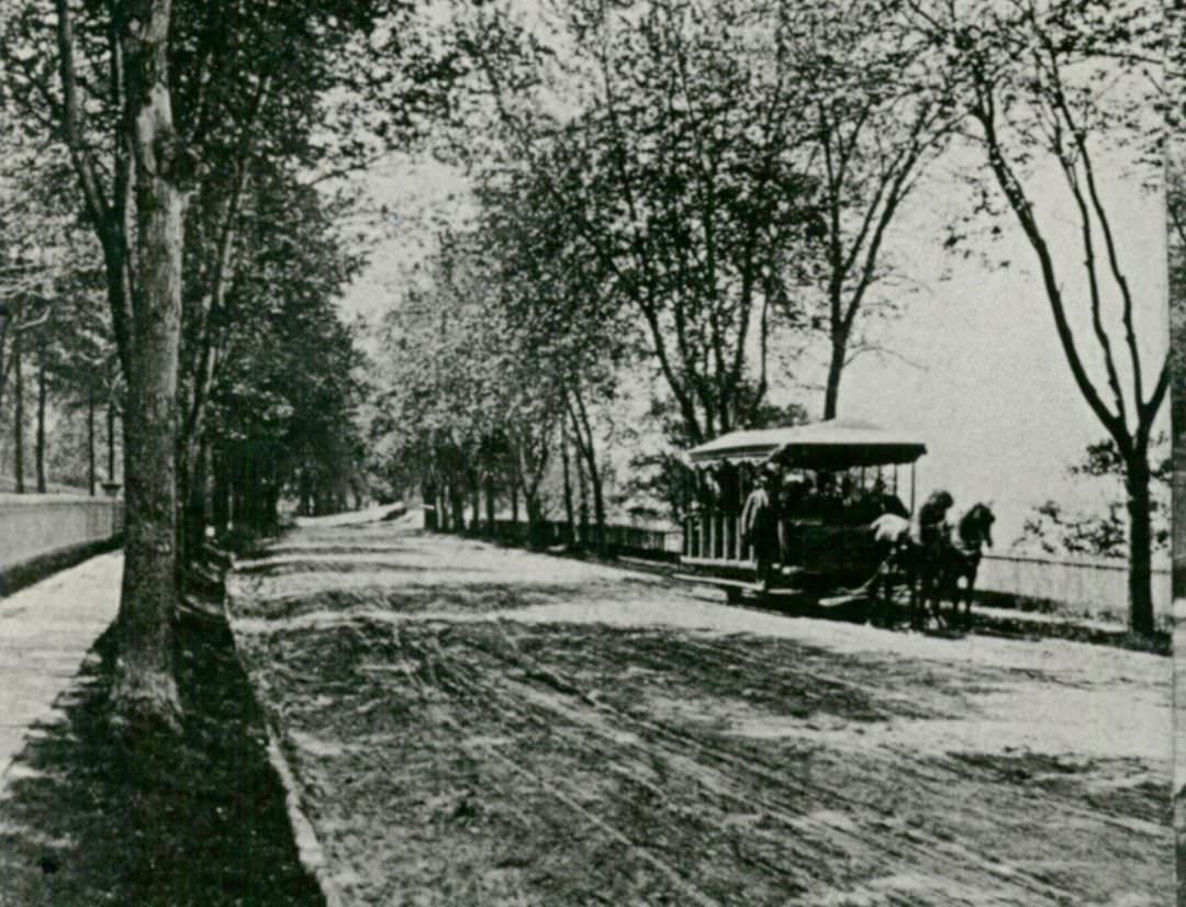 Horse-Drawn Trolley On Richmond Terrace, New Brighton, 1880.