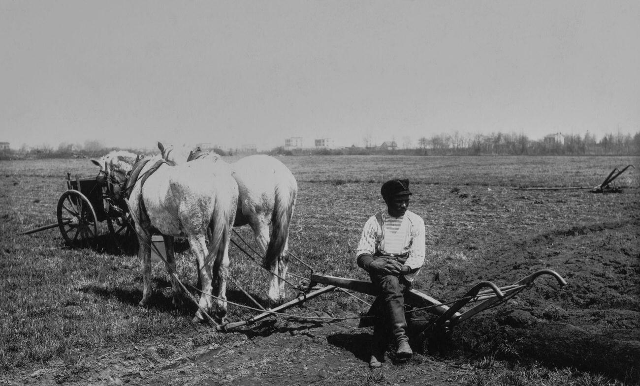Spring Plowing On Vanderveer Farm In Flatbush, Brooklyn, 1889