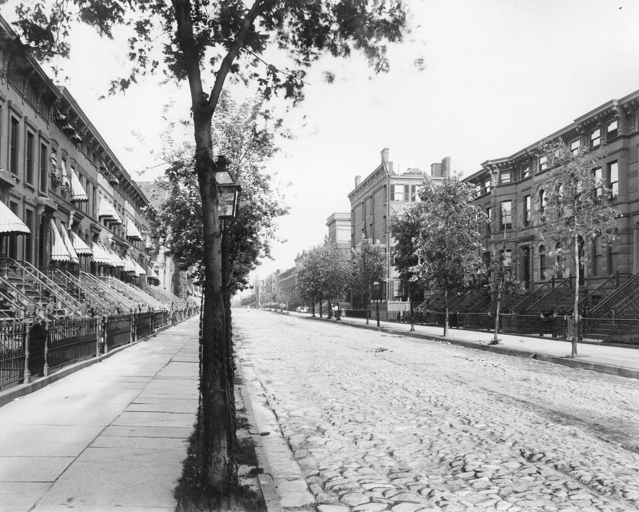Putnam Avenue In Bedford-Stuyvesant, House Number 642 And Large House On Corner, Brooklyn, 1895