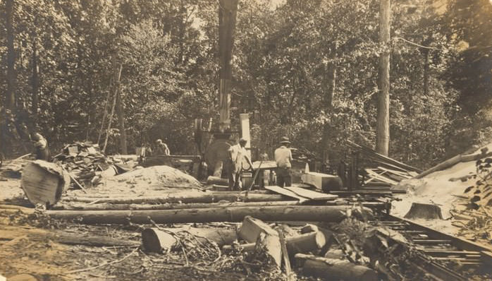 Lumbering On Staten Island, Eltingville, 1924.