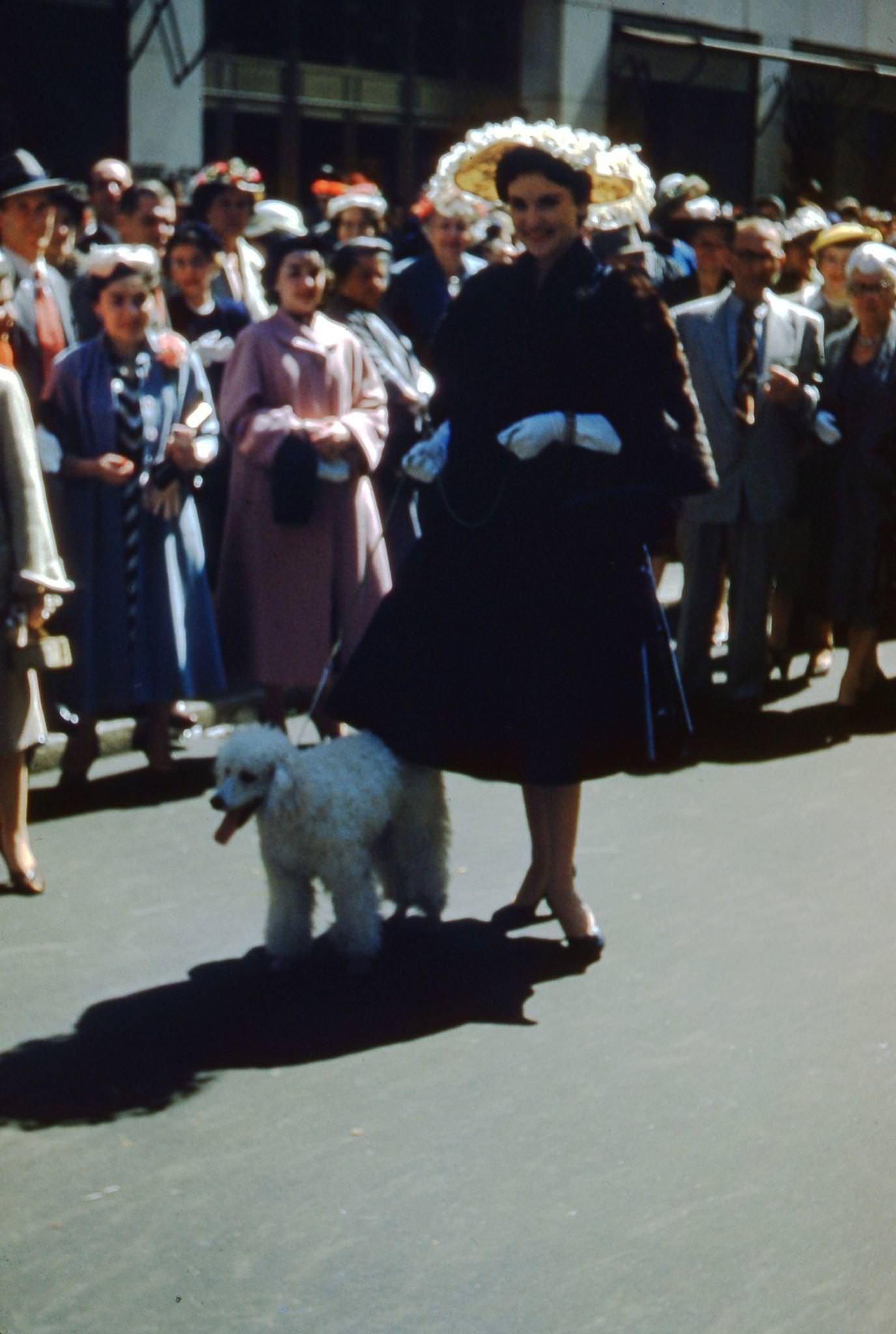 Woman Posing With Poodle At Nyc Easter Parade, Manhattan, 1955.
