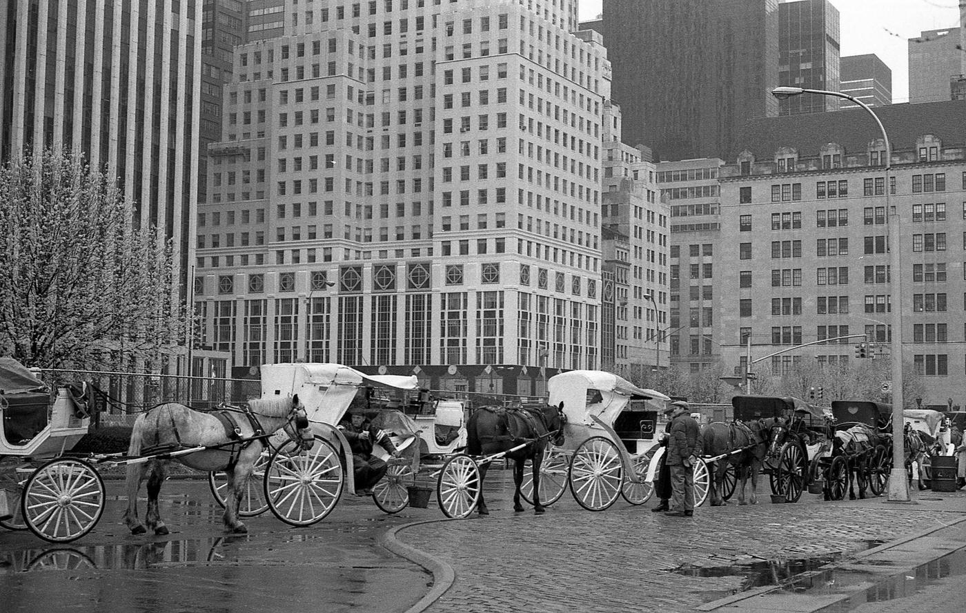 Coachmen At Grand Army Plaza, Waiting With Their Horse-Drawn Carriages, Manhattan, 1989