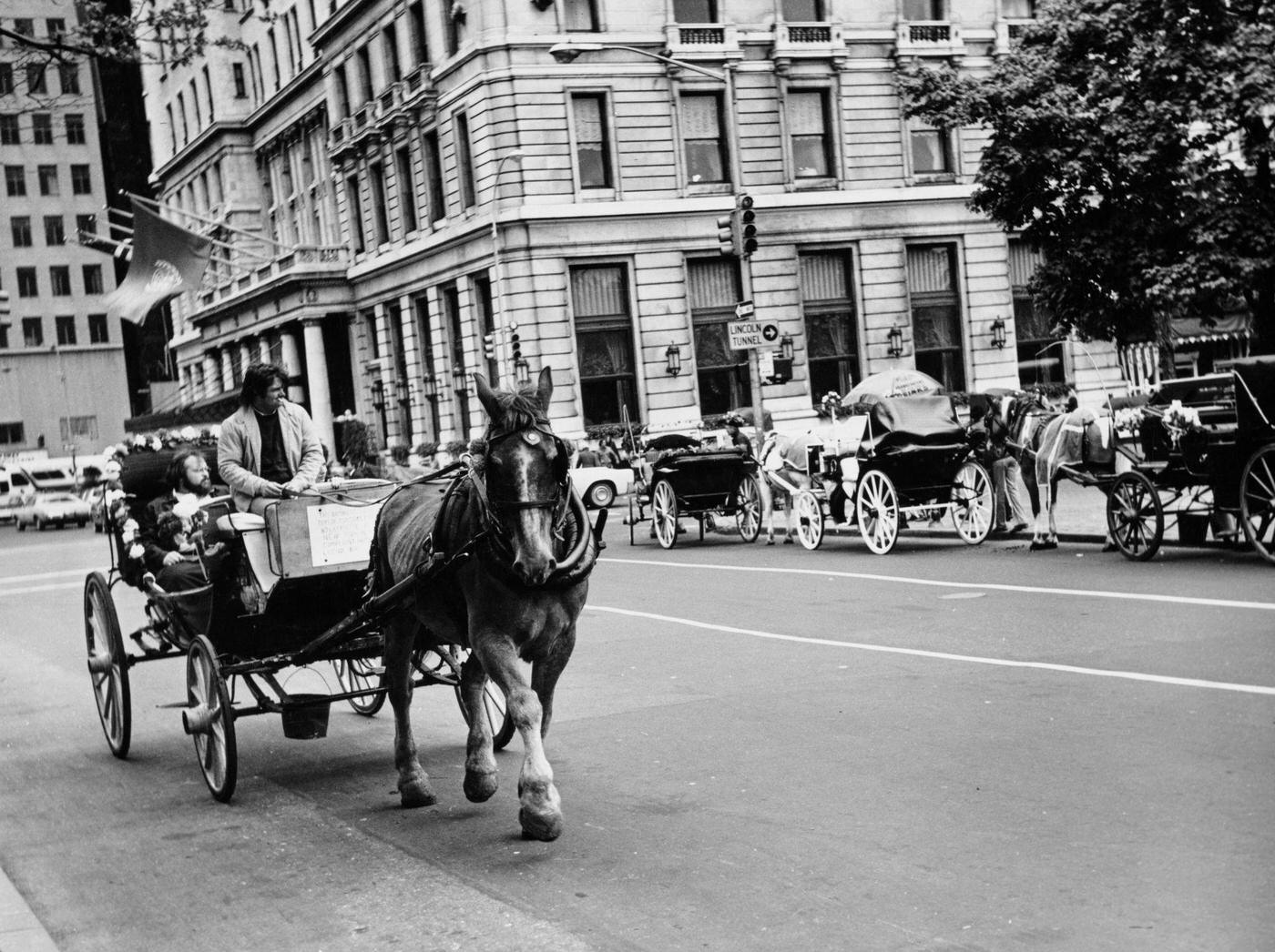 Horse Cabs At Grand Army Plaza, Midtown Manhattan, Circa 1980