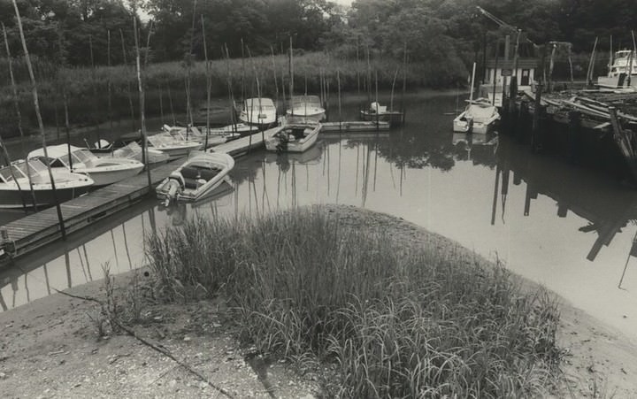 The Smallest Island Within The Island: Ziel'S Island In Lemon Creek, Known For Fiddler Crabs And Blue Crabs, And Commercially Harvested Clams, 1987.