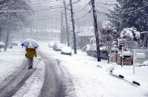 Lone Figure Walks Along West Fingerboard Road During A Spring Snow Storm, 2003.