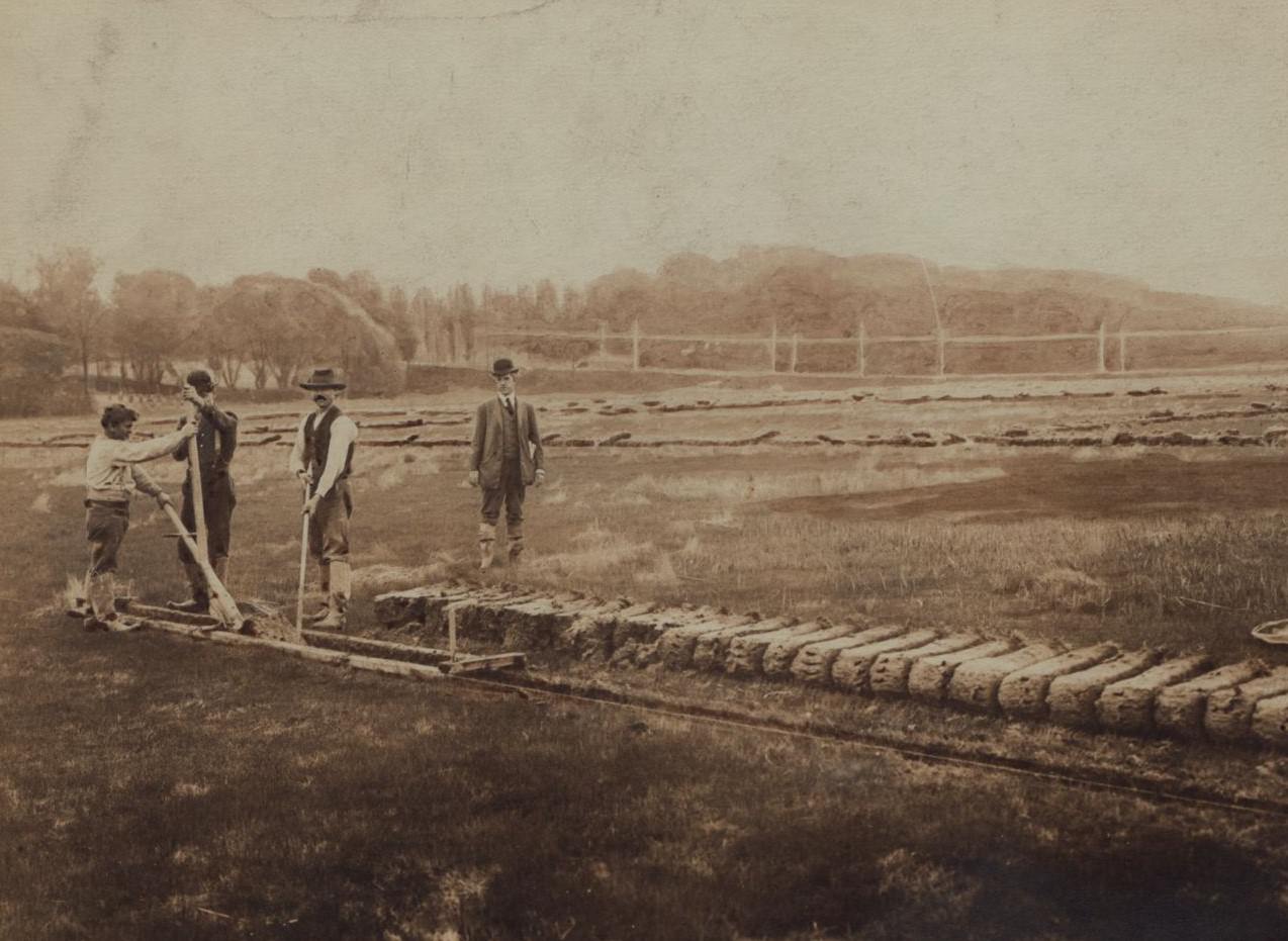 Little Neck Bay Meadows, Queens, 1890S.