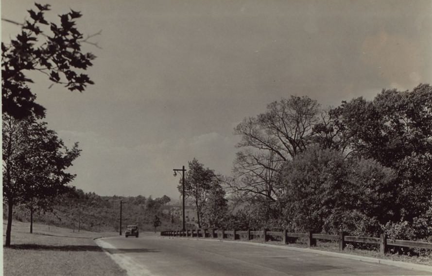 Grand Central Parkway And 65Th Avenue, Queens, 1910S.