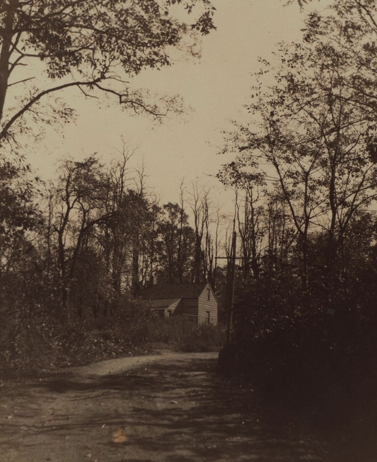 Alley Park East And White Plains Road, Queens, 1910S.