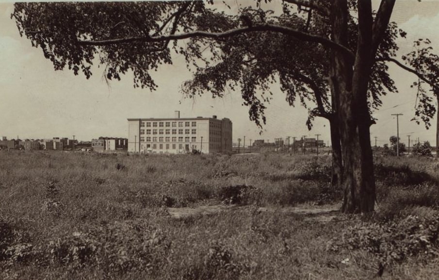 31St Avenue And 50Th Street, Queens, 1910S.