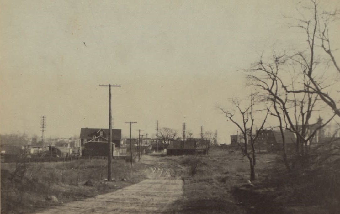 Calamus Avenue At 79Th Street, Queens, 1920S.