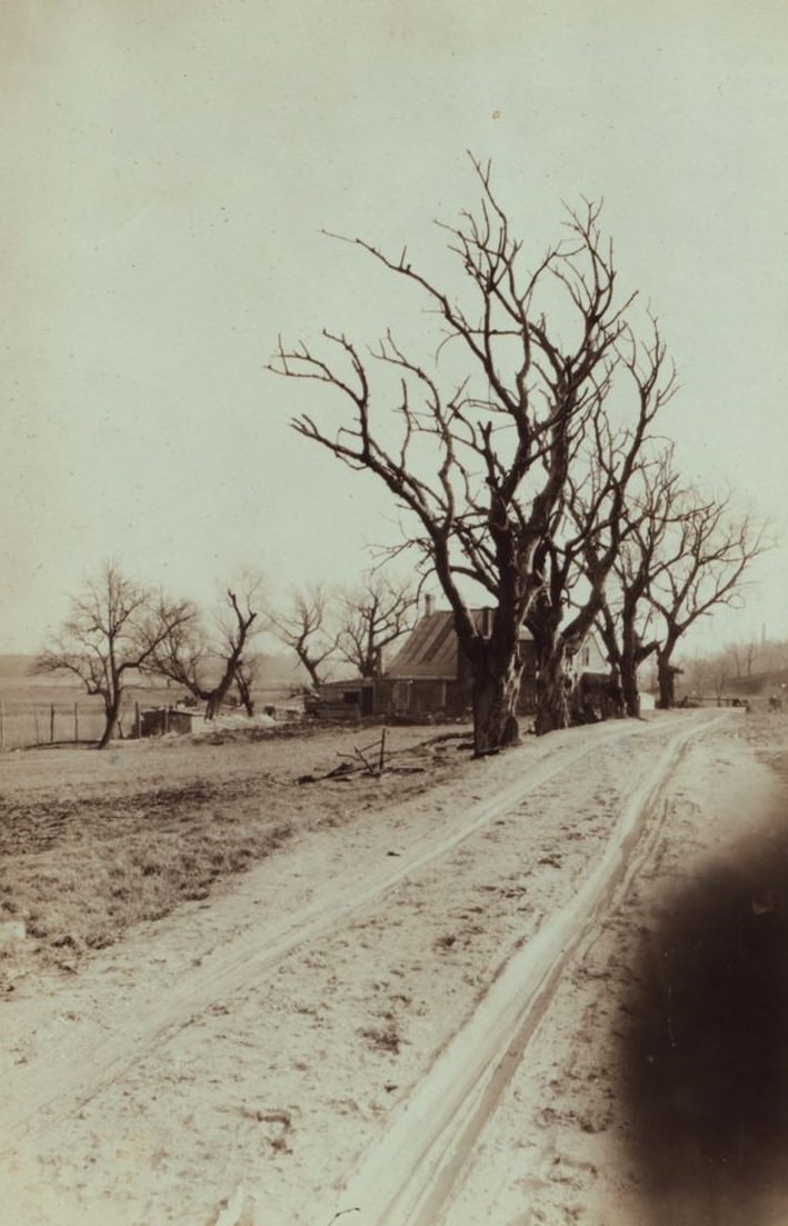 Colonial Avenue And Nassau Boulevard, 1930S.