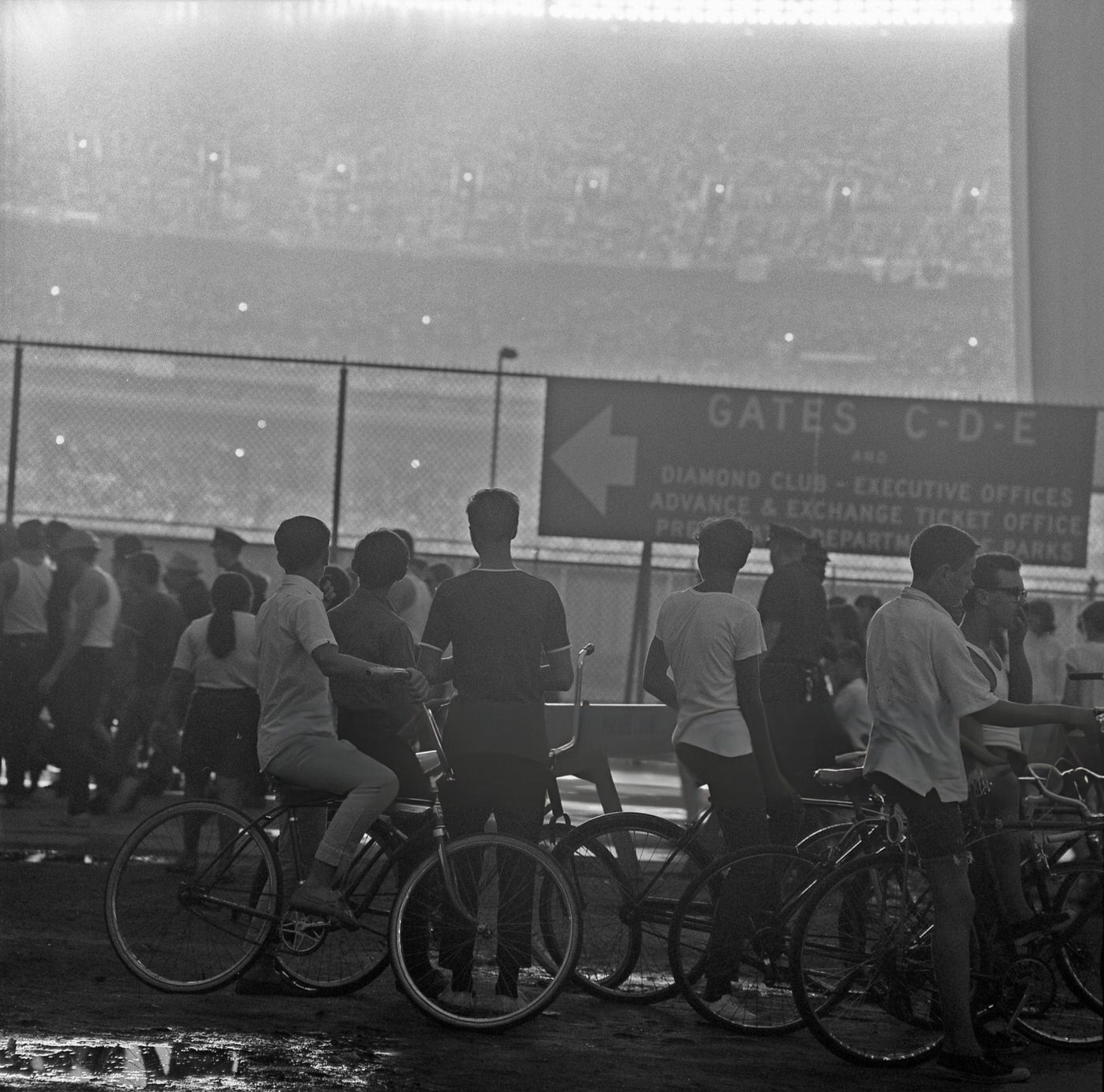 Young Fans On Their Bicycles Try To Catch A Glimpse Of The Beatles Over A Fence Outside Shea Stadium, 1966.