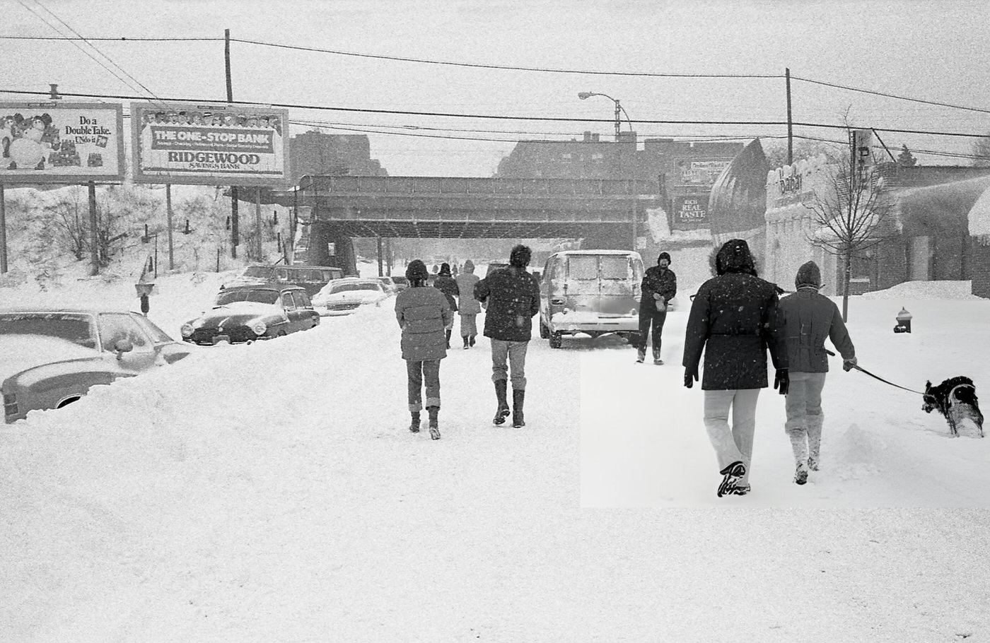 People And Their Pets Walking In The Middle Of The Street To Avoid Deep Snow During The Blizzard Of 1978.