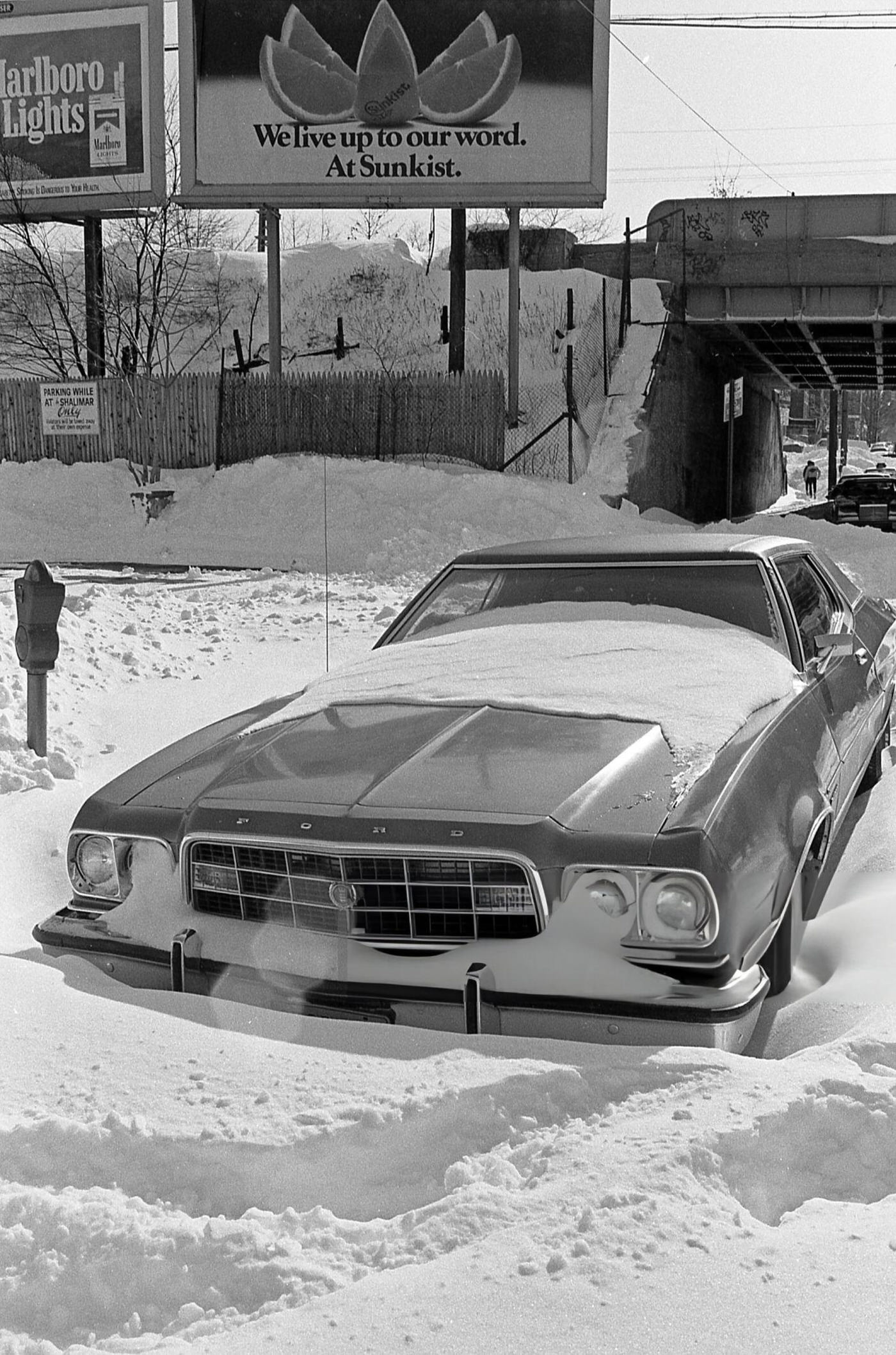 A Car Embedded In Snow On 63Rd Drive In The Aftermath Of A Blizzard In Rego Park, Queens, 1983.