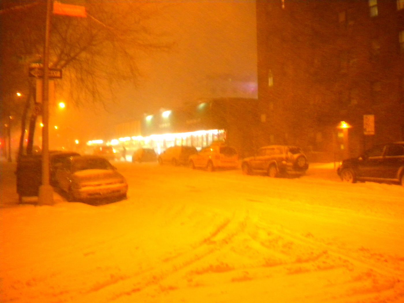 North American Blizzard Of 2009, Jackson Heights, Queens, 2009.