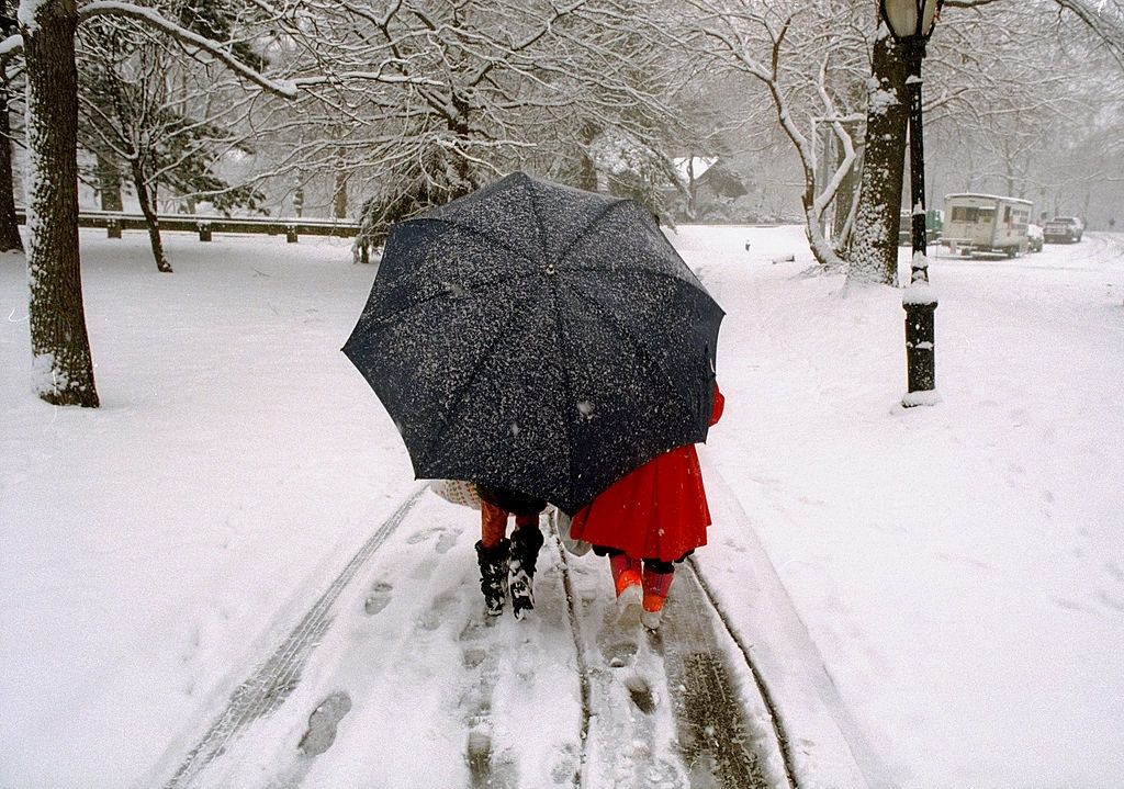 Two Little Girls With One Big Umbrella Take A Walk In Central Park, 1996