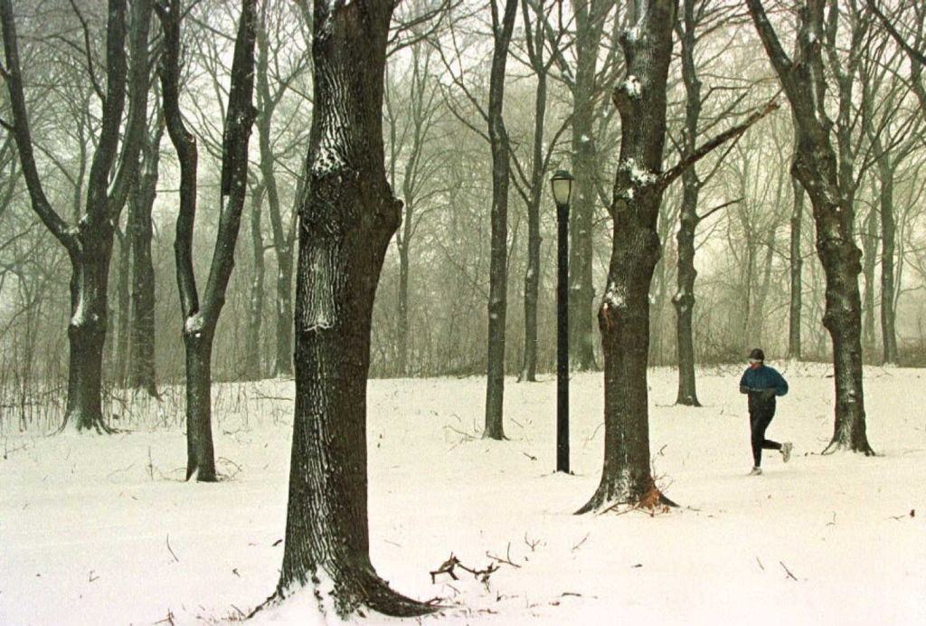 A Jogger Makes His Through Pelham Bay Park In The Bronx, 1996