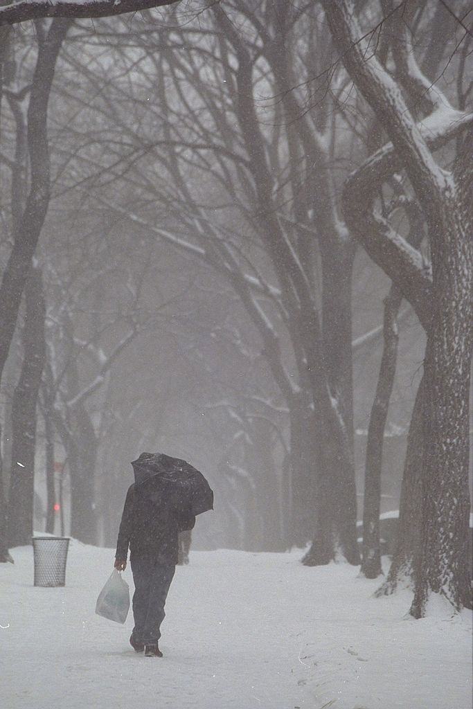 Pedestrian Walks Into A Snow Filled Central Park During A Blizzard, 1996