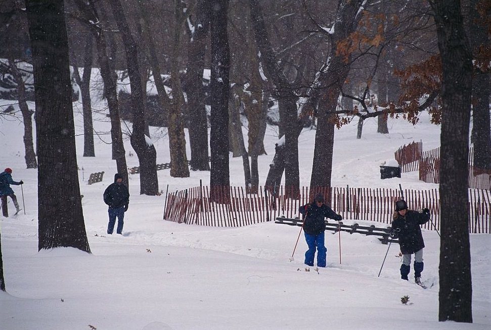 Skiing In Snow-Covered Park, 1996