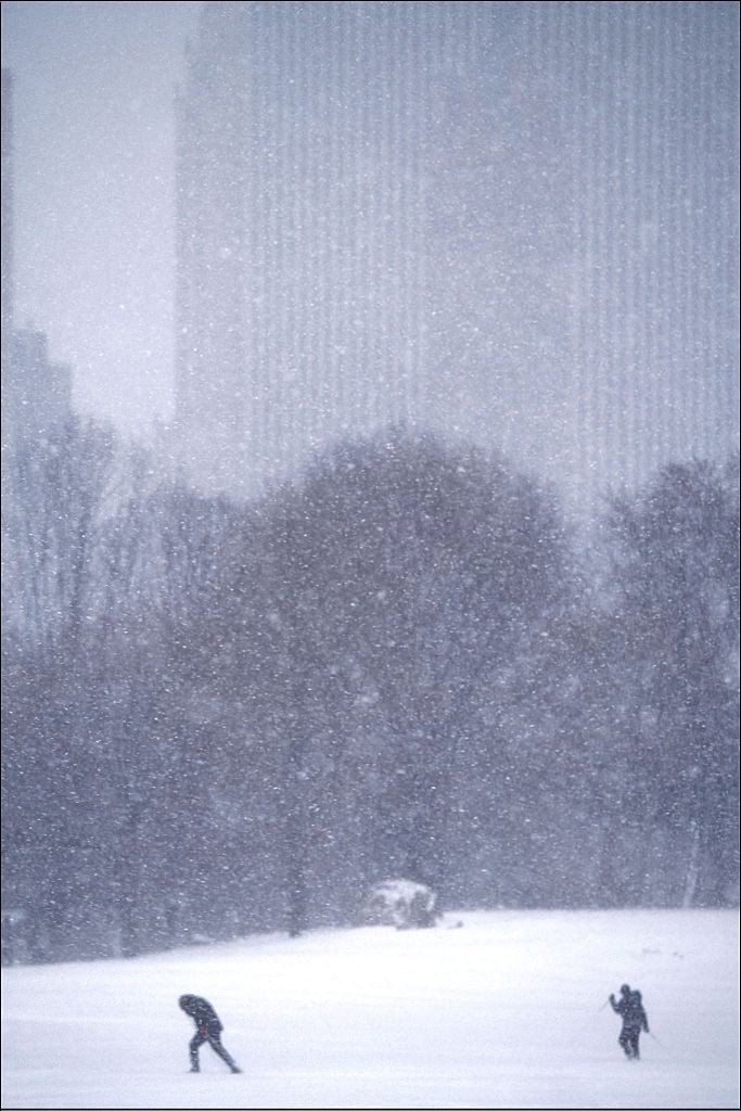 Cross Country Skiers Cross The Sheep Meadow In Central Park During The Blizzard, New York,.