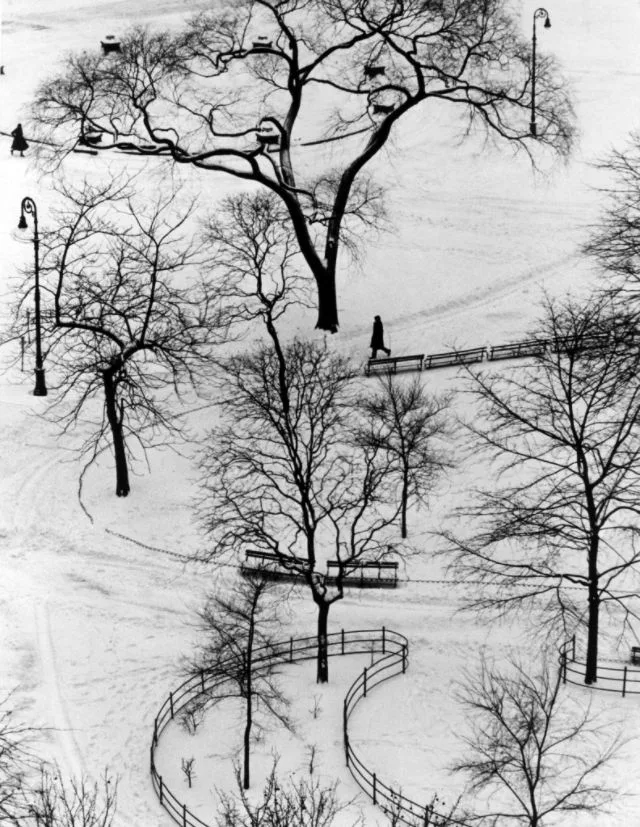 Washington Square Day, 1954