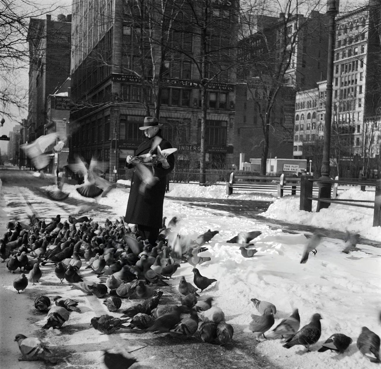 A Man Feeds Pigeons In Union Square Covered With Snow, 1947.